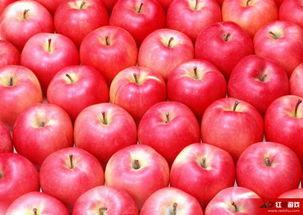 娱乐吃瓜酱苹果自带滤镜,娱乐吃瓜酱带你领略滤镜魔法魅力